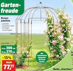 Rosen-pavillon Angebote bei Thomas Philipps Falkensee für 77,77 €