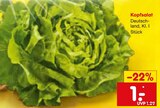 Aktuelle Salat Angebote bei Netto Marken-Discount in Nürnberg Aktuelles Kopfsalat Angebot bei Netto Marken-Discount in Nürnberg ab 1,00 €