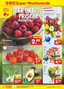 Tulpen im Netto Marken-Discount Prospekt "Aktuelle Angebote" mit 56 Seiten (Potsdam)