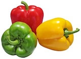 Paprika im Angebot bei Kaufland in Offenbach Paprika Angebote bei Kaufland Offenbach für 1,11 €