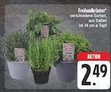 Freilandkräuter bei EDEKA im Falkenstein Prospekt für 2,49 €