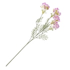 Kunstblume Magnolie Angebote bei Ernstings family Dessau-Roßlau für 3,99 €