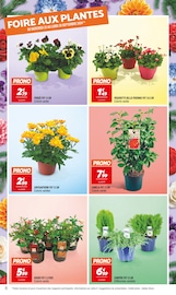 Chrysanthèmes Angebote im Prospekt "Rendez-vous PRIX BAS !" von Netto auf Seite 6