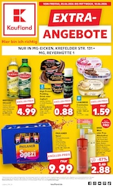 Kaufland Erkelenz Prospekt der aktuellen Woche, gültig von 04.06.2026 bis 10.06.2026 Aktueller Kaufland Erkelenz Prospekt "EXTRA-ANGEBOTE" mit 8 Seiten