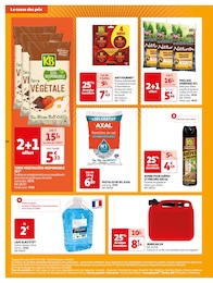 Offre Anti-fourmis dans le catalogue Auchan Hypermarché du moment à la page 44