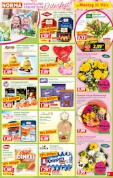 Blumenstrauß Angebot im aktuellen Norma Prospekt auf Seite 10