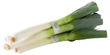 REWE Ludwigshafen - Bio Porree Angebot im Prospekt Bio Porree bei REWE im Ludwigshafen Prospekt für 1,79 €
