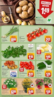 Salat im REWE Prospekt "Dein Markt" mit 18 Seiten (Frankfurt (Main))