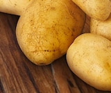 Spargel-Kartoffeln im Angebot bei REWE in Neuss Spargel-Kartoffeln Angebote von REWE Beste Wahl bei REWE Neuss für 1,79 €