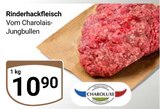 Aktuelles Rinderhackfleisch Angebot bei GLOBUS in Jena ab 10,90 €
