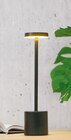 Tischlampe im aktuellen Netto mit dem Scottie Prospekt