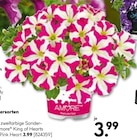 Petunien bei BayWa Bau- und Gartenmärkte im Prospekt "" für 3,99 €