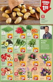 Ähnliche Teichpflanzen Angebote im Prospekt "Dein Markt" von REWE in Herne Ähnliche Angebote wie Teichpflanzen im Prospekt "Dein Markt" auf Seite 7 von REWE in Herne