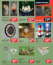 Solarlampe im famila Nordost Prospekt in Buchholz Aktueller famila Nordost Prospekt mit Solarlampe, "besser als gut!", Seite 23