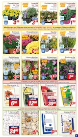 Gartenerde im CENTERSHOP Prospekt in Unna Aktueller CENTERSHOP Prospekt mit Gartenerde, "Da geht was.", Seite 9
