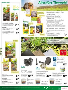 Tomaten im BayWa Bau- und Gartenmärkte Prospekt "Wir feiern, Sie sparen!" mit 30 Seiten (Nürnberg)