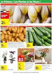 Promos Courgette dans le catalogue "UN Noël POUR TOUS LES GOÛTS" de Carrefour à la page 16 Promos Courgette dans le catalogue "UN Noël POUR TOUS LES GOÛTS" de Carrefour à la page 16