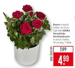 Angebot im Marktkauf Schorndorf Prospekt Marktkauf Schorndorf Prospekt mit  im Angebot fĂŒr 4,99 âŹ