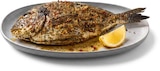 Aktuelle Fisch Angebote bei Netto Marken-Discount in Heidelberg Aktuelles Grill-Dorade-Royal Angebot bei Netto Marken-Discount in Heidelberg ab 1,39 €