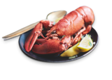 Homard canadien entier cuit msc en promo chez Picard Dreux à 9,99 €