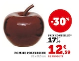 Pomme Polyresine à Hyper U dans Courléon