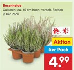 Aktuelle Pflanzen Angebote bei Netto Marken-Discount in Oberhausen Aktuelles Besenheide Angebot bei Netto Marken-Discount in Oberhausen ab 4,99 €