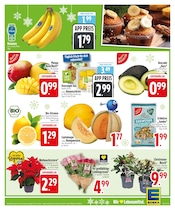 Blumen im EDEKA Prospekt in Kaufbeuren Aktueller EDEKA Prospekt mit Blumen, "IM EINSATZ FÜR FRISCHE & VIELFALT.", Seite 3
