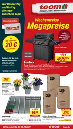 toom Baumarkt Blumen im Prospekt 