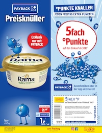 Chrysantheme Angebot & Preis im aktuellen Netto Marken-Discount Prospekt Chrysantheme Angebot im aktuellen Netto Marken-Discount Prospekt auf Seite 18