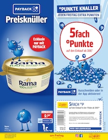 Zimmerpflanzen Angebot im Netto Marken-Discount Prospekt, gültig von 24.08.2026 bis 29.08.2026 Zimmerpflanzen Angebot im aktuellen Netto Marken-Discount Prospekt auf Seite 18