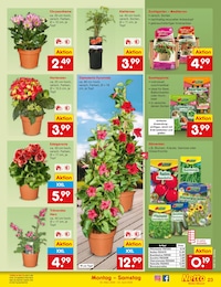 Netto Marken-Discount Salat im Prospekt 