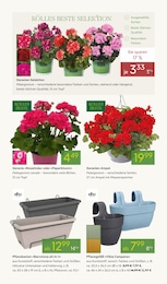 Blumentopf Angebot im aktuellen Pflanzen Kölle Prospekt auf Seite 5