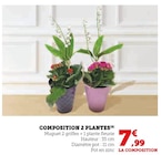 Composition 2 plantes - Super U à Besançon Composition 2 plantes en promo chez Super U Besançon à 7,99 €