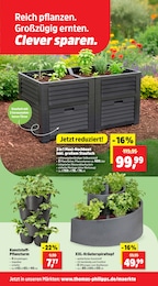 Hochbeet Angebot im aktuellen Thomas Philipps Prospekt auf Seite 6