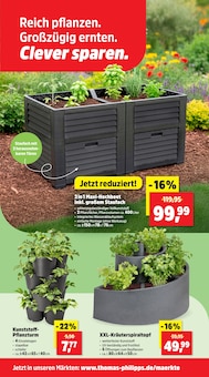 Kräuter im Thomas Philipps Prospekt "Top Angebote" mit 19 Seiten (Düsseldorf)