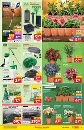 Aktueller Netto Marken-Discount Prospekt mit Garten, "Aktuelle Angebote", Seite 13