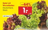 Salat mit Wurzelballen Angebote bei Netto Marken-Discount Reutlingen für 1,00 €