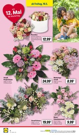 Ähnliche Angebote wie Rhododendron im Prospekt "LIDL LOHNT SICH" auf Seite 4 von Lidl in Trier