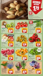 Gartenpflanzen Angebot & Preis im aktuellen REWE Prospekt Gartenpflanzen Angebot im aktuellen REWE Prospekt auf Seite 11