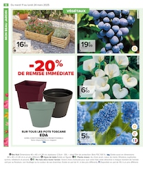 Offre Potager dans le catalogue Carrefour du moment à la page 8