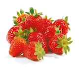 Erdbeeren bei Netto mit dem Scottie im Rostock Prospekt für 1,99 €