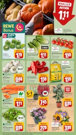 Aktueller REWE Prospekt mit Pflanzen, "Dein Markt", Seite 5