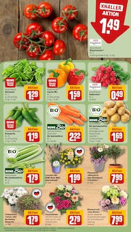 Kartoffeln im aktuellen REWE Prospekt (Heidelberg) Kartoffeln im REWE Prospekt "Dein Markt" mit 18 Seiten (Heidelberg)