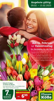 Der aktuelle Pflanzen Kölle Prospekt Am 14. Februar ist Valentinstag!