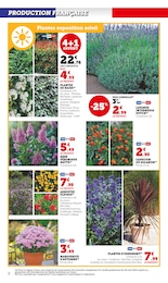 Offre Fleurs d'extérieur dans le catalogue Super U du moment à la page 2