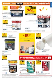 Offre Peinture dans le catalogue Castorama du moment à la page 15
