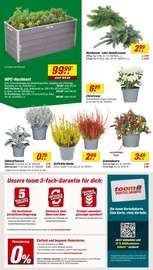 Aktueller toom Baumarkt Prospekt mit Stauden, "Respekt, wer's selber macht.", Seite 2