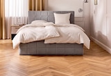 BOXSPRINGBETT „Vito“ für 19,99 € bei Sconto SB im Angebot BOXSPRINGBETT „Vito“ im aktuellen Sconto SB Prospekt