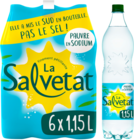 SALVETAT EAU GAZEUSE - SALVETAT en promo chez Auchan Hypermarché Poitiers à 3,29 €