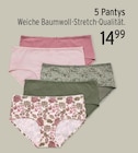 Pantys für 14,99 € bei EDEKA im Angebot Pantys im aktuellen EDEKA Prospekt